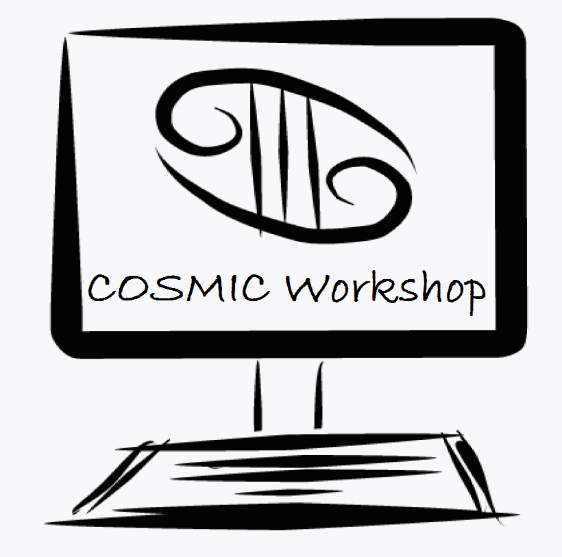 cosmic workshop