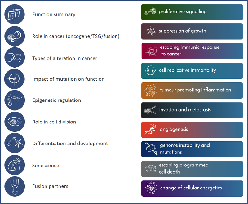 20 categories