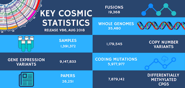 Key Stats August 2018