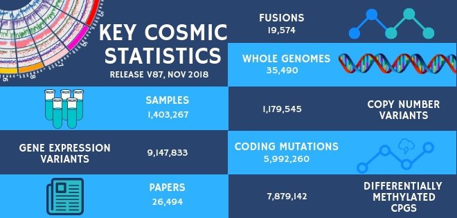 key stats nov