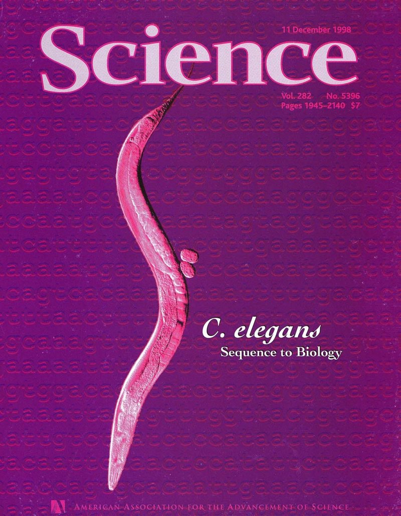 Genome sequence of the nematode C. elegans: a platform for investigating biology