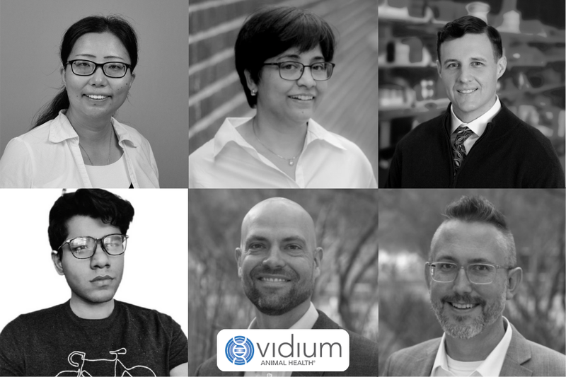 Photographs for the Vidium animal health team (From left to right) Dr Guannan Wang, Dr Sharda Sakthikumar, Salvatore Facista, Zeeshan Ahmed, Derick Whitley and Will Hendricks.