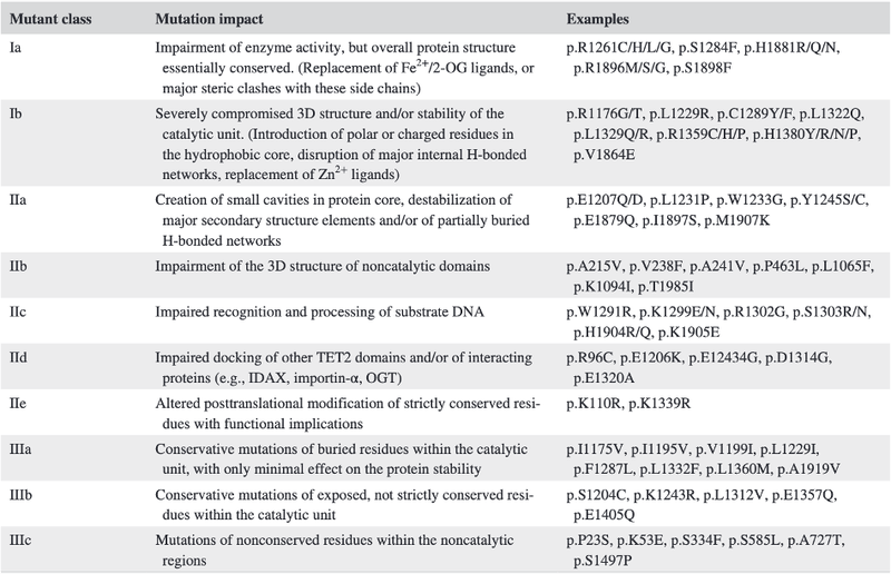 The proposed classification of TET2 missense variations. Ia: Impairment of enzyme activity, but overall protein structure essentially conserved. (Replacement of Fe2+/2-OG ligands, or major steric clashes with these side chains).  Ib: Severely compromised 3D structure and/or stability of the catalytic unit. (Introduction of polar or charged residues in the hydrophobic core, disruption of major internal H-bonded networks, replacement of Zn2+ ligands). IIa: Creation of small cavities in protein core, destabilization of major secondary structure elements and/or of partially buried H-bonded networks. IIb: Impairment of the 3D structure of noncatalytic domains. IIc: Impaired recognition and processing of substrate DNA.  IId: Impaired docking of other TET2 domains and/or of interacting proteins (e.g., IDAX, importin-α, OGT). IIe: Altered posttranslational modification of strictly conserved residues with functional implications. IIIa: Conservative mutations of buried residues within the catalytic unit, with only minimal effect on the protein stability. IIIb: Conservative mutations of exposed, not strictly conserved residues within the catalytic unit. IIIc: Mutations of nonconserved residues within the noncatalytic regions.