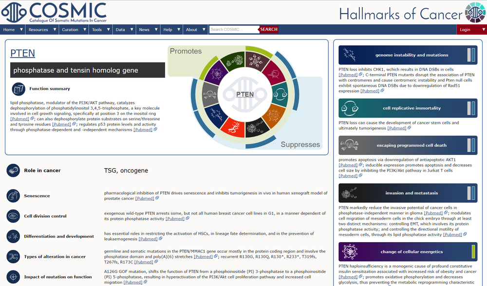 hallmarks screenshot