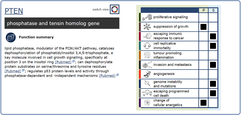 hallmarks summary