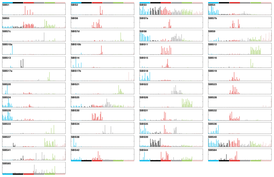 Mutational Signatures Update