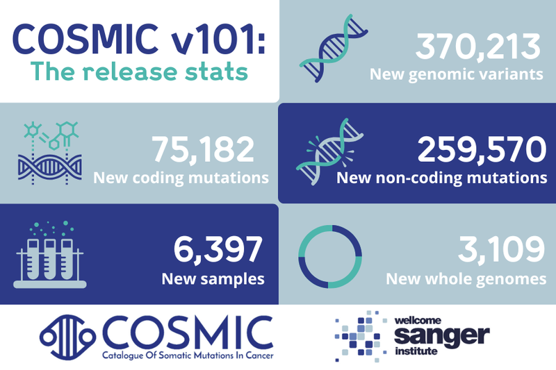 Graphic showing the release statistics for COSMIC v101. New Genomic variants: 370,213. New coding mutations: 75,182. New non-coding mutations 259,570. New samples: 6,397. New whole genomes: 3,109.